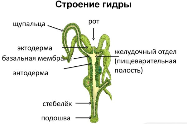 Кракен без тора