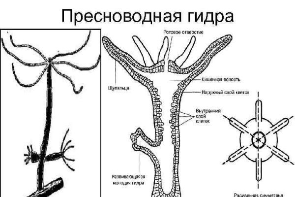 Кракен через впн